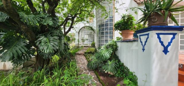 José María Morelos 156,, Amacuzac, Morelos 62652, Mexico