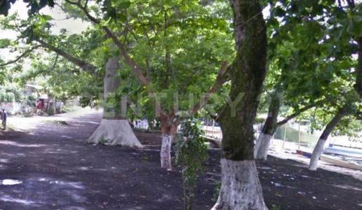 La pesqueria s/n,, Catemaco, Veracruz 95870, México