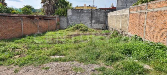 Las granjas 9,, Cuautla, Morelos 62745, Mexico