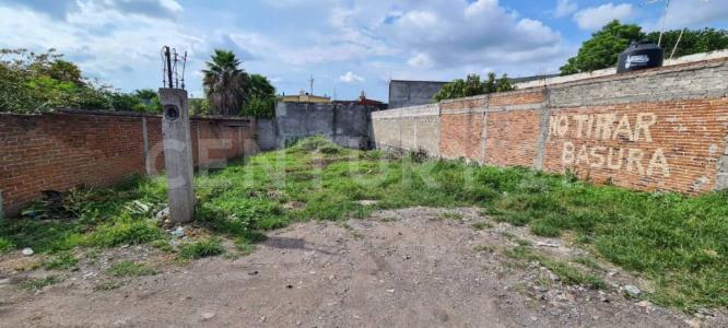 Las granjas 9,, Cuautla, Morelos 62745, Mexico