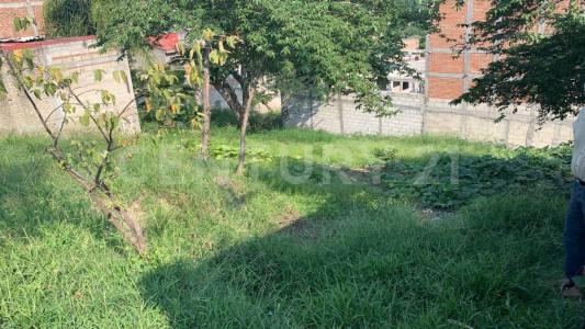 Temixco, Morelos 62588, Meksika