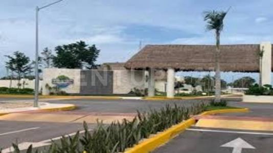 Aguamarina 07 M66, L1 Fracc. ALDEA TULUM ,, Tulum, Quintana Roo 77780, Messico