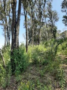 Jilotzingo, Meksika Eyaleti 54570, Meksika