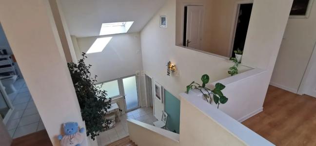 فيسيو, فيسيو 3500-543, البرتغال