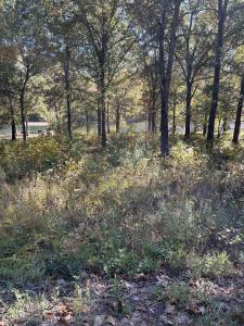 TBD Oniatara Ln, Cherokee Village, Arkansas 72529, États-Unis