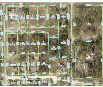 13154 Flaccus Court, Brooksville, Florida 34613, HOA KỲ