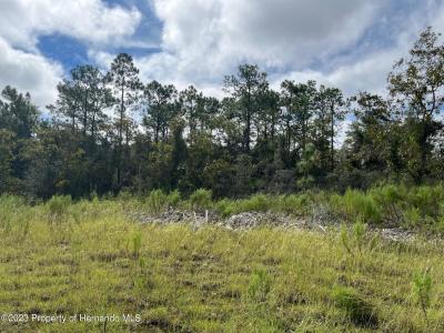 13154 Flaccus Court, Brooksville, Florida 34613, HOA KỲ