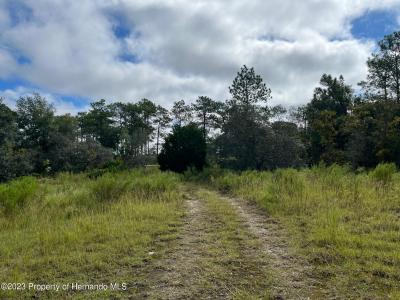 13154 Flaccus Court, Brooksville, Florida 34613, HOA KỲ