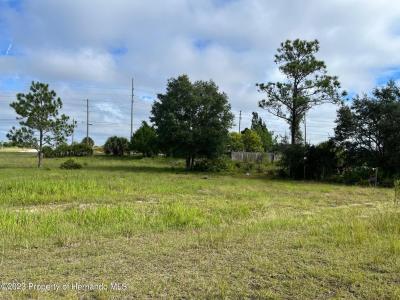 13154 Flaccus Court, Brooksville, Florida 34613, HOA KỲ