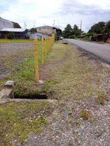 Península De Osa Puerto Jiménez Golfito, Puntarenas 00001, Costa Rica