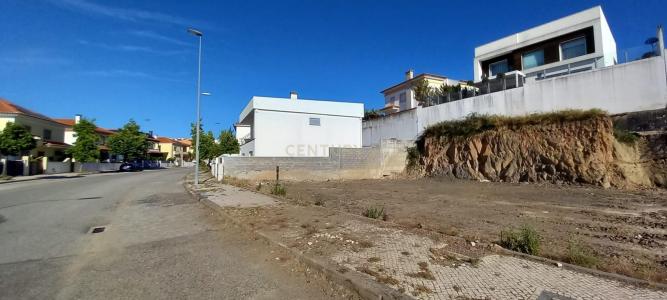 Castelo Branco, Castelo Branco 6000-474, Portekiz