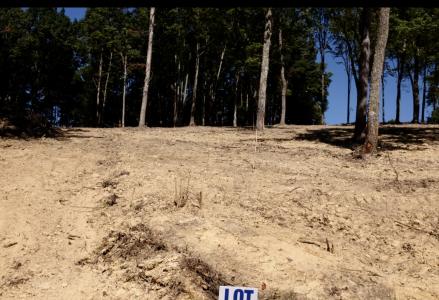 Lot 42 Malibu Drive, Corbin, קנטאקי 40701, ארצות הברית של אמריקה 