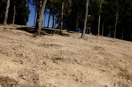 Lot 42 Malibu Drive, Corbin, קנטאקי 40701, ארצות הברית של אמריקה 
