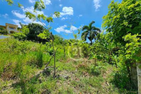 Lot for sale in a tranquil area in Gaspar Hernández., Gaspar Hernández, Espaillat 56000, República Dominicana
