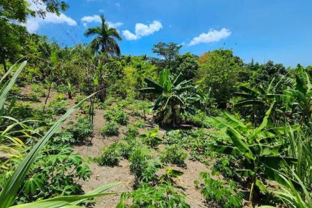 Lot for sale in a tranquil area in Gaspar Hernández., Gaspar Hernández, Espaillat 56000, República Dominicana