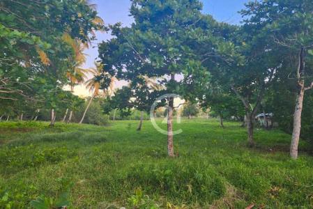 Steps from the Beach. Affordable Opportunity!, Gaspar Hernández, Espaillat 56000, 多米尼加共和國