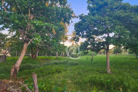 Steps from the Beach. Affordable Opportunity!, Gaspar Hernández, Espaillat 56000, 多米尼加共和國