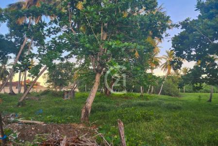 Steps from the Beach. Affordable Opportunity!, Gaspar Hernández, Espaillat 56000, 多米尼加共和國