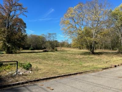 0 Simpson St., Killen, Alabama 35645, USA