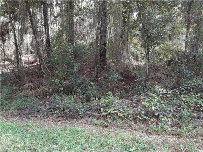 8805 N Ramble Point, Citrus Springs, Florida 34434, USA