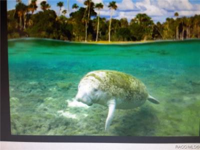 8805 N Ramble Point, Citrus Springs, Florida 34434, USA