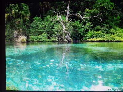 8805 N Ramble Point, Citrus Springs, Florida 34434, USA