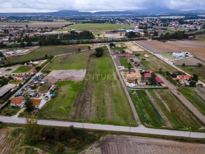 Palmela, סטובל 2950-001, פורטוגל 