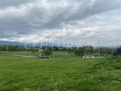 Cali, Valle del Cauca 00001, Colombia