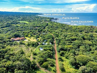 , Playa Negra Veintisiete De Abril Santa Cruz, Guanacaste 00001, 哥斯达黎加