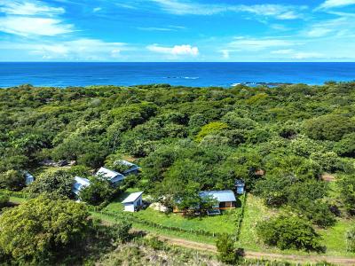 , Playa Negra Veintisiete De Abril Santa Cruz, Guanacaste 00001, 哥斯达黎加