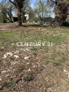 Sveti Lovreč, Sveti Lovreč, Istarska Županija 52448, Croazia