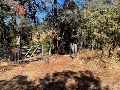 15466 Palm Avenue, Clearlake, 加州 95422, 美國