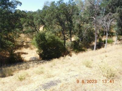 15466 Palm Avenue, Clearlake, 加州 95422, 美國