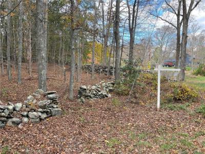 Wellers Bridge Road, Roxbury, Connecticut 06783, USA