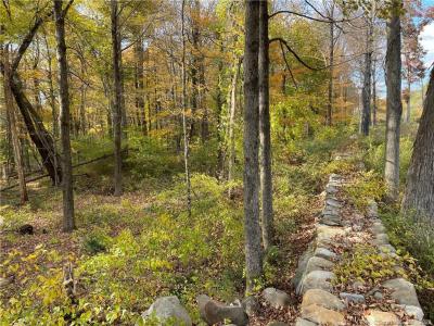 Wellers Bridge Road, Roxbury, Connecticut 06783, HOA KỲ
