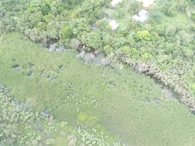 Burrell Boom, Belize District 00001, 伯利兹