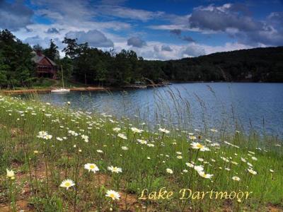 659 Lakeview Drive, Fairfield Glade, Tennessee 38558