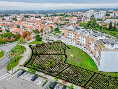 Torres Novas, Santarem 2350-558, Portugal
