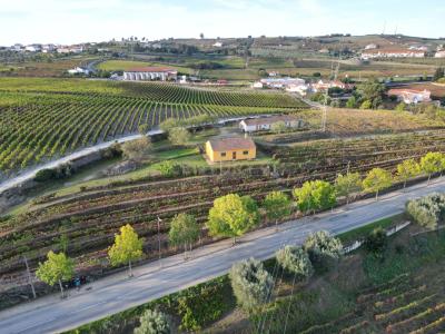 São João da Pesqueira, Viseu 5130-321, Portugal