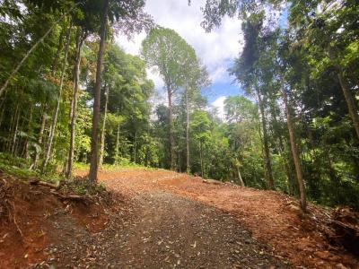Osa, Puntarenas 00001, コスタリカ