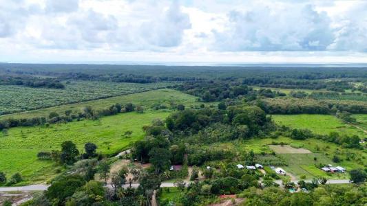 Osa, Puntarenas 00001, コスタリカ