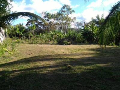 Osa, Puntarenas 00001, コスタリカ