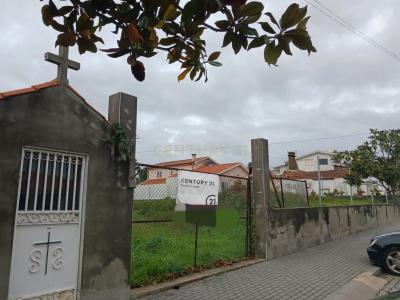 Santa Maria da Feira, Aveiro 4535, Portugal