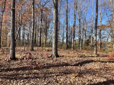 Lot 88 Stillwater , Russell Springs, Kentucky 42642, Estados Unidos