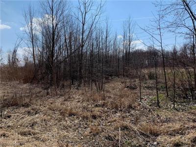 Pearl Avenue, Lorain, Ohio 44055, USA