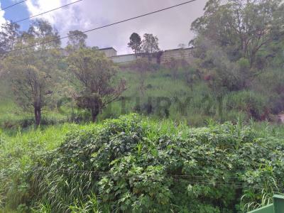 Carrizal, Miranda 1204, Venezuela