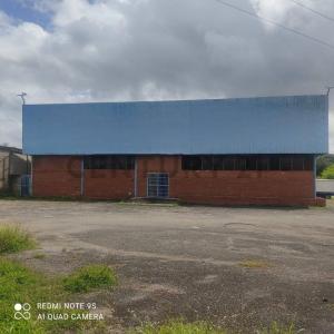 Carmen de Cura, Guárico 00001, Venezuela