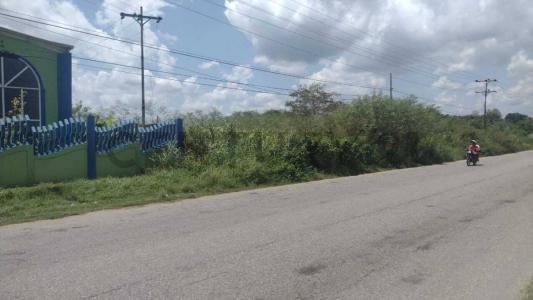 Higuerote, Miranda 1231, Venzuela