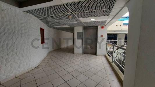 El Pilar (Los Robles), Nueva Esparta 6316, Venezuela