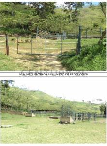 San Felipe, Yaracuy 3205, Venezuela